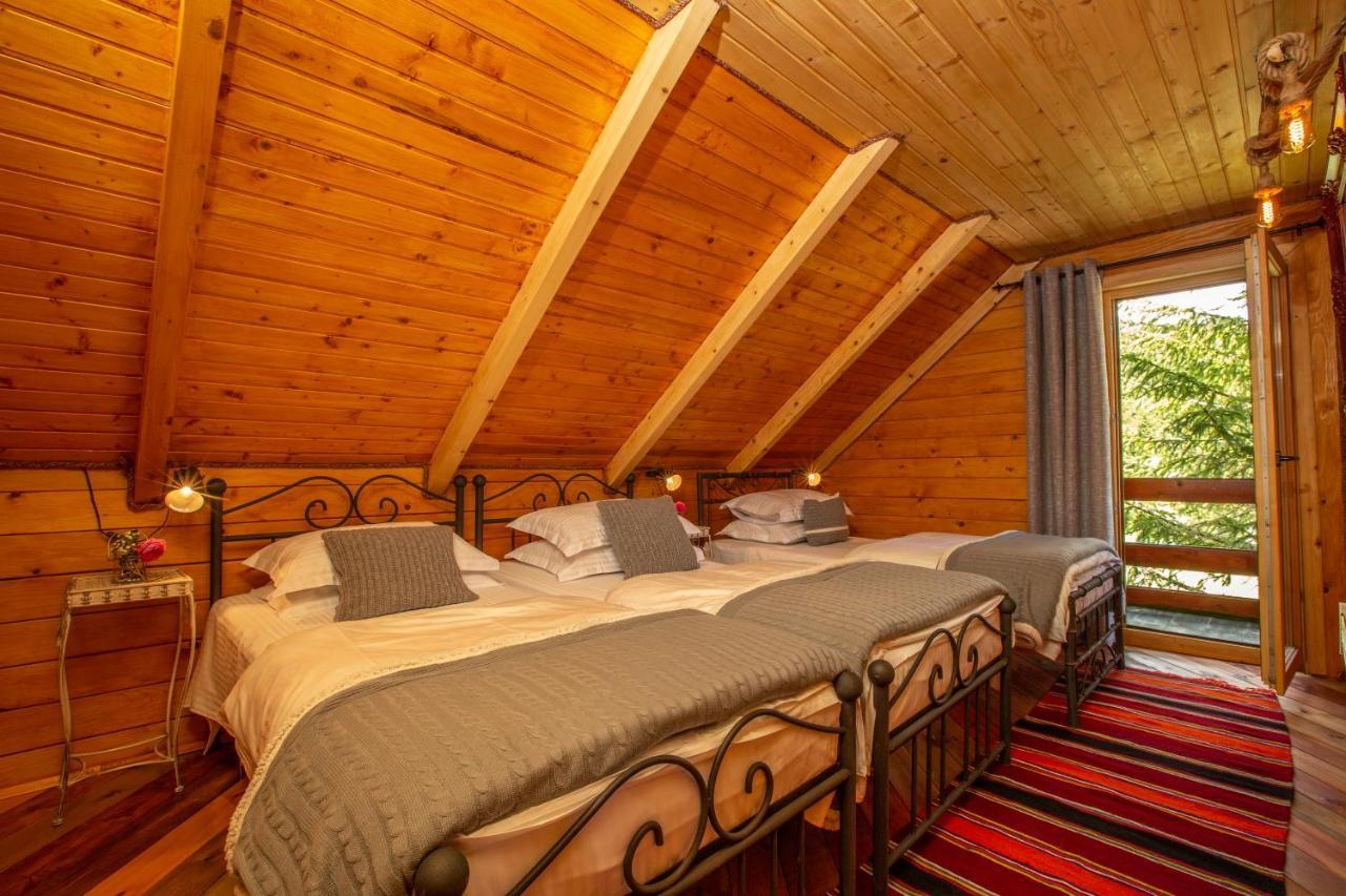 Villa Piccolo Orso Žabljak Eksteriør billede