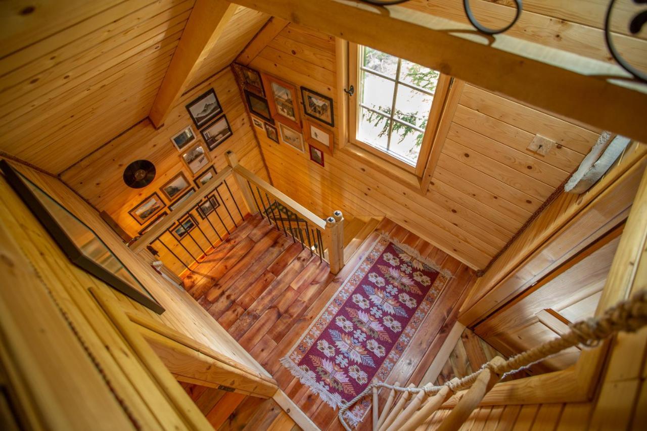 Villa Piccolo Orso Žabljak Eksteriør billede